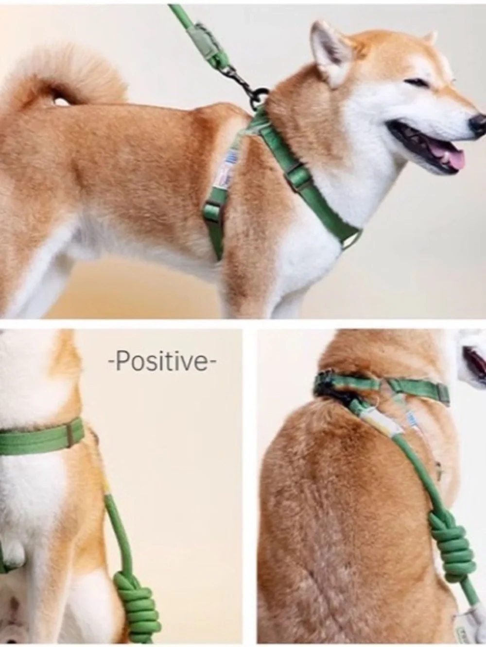 Small Green Touchdog Harness & Leash Set